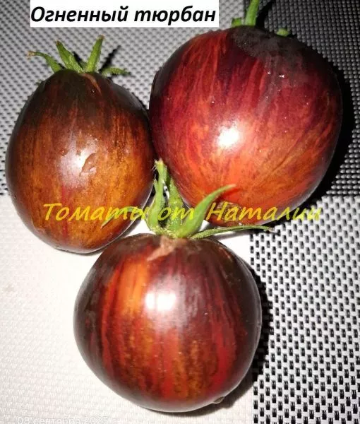ognennyy-tyurban-7-150353