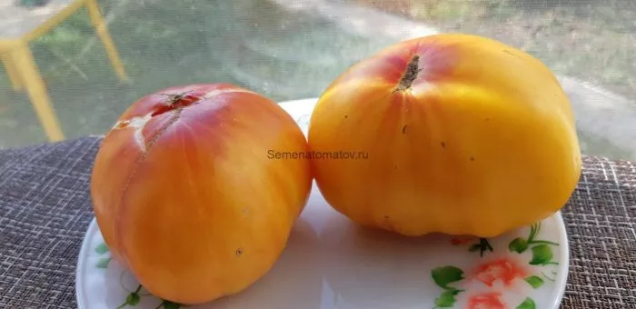 oranzhevaya-yagoda-1-139870