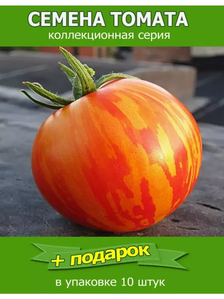 oranzhevaya-zebra-3-154485