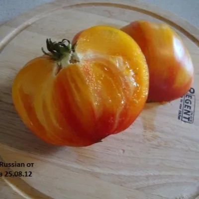 oranzhevyy-russkiy-117-6-139487