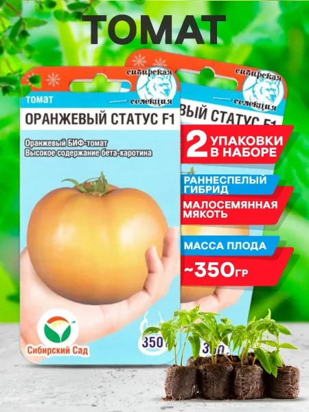 oranzhevyy-status-1-161730