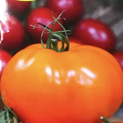 oranzhevyy-status-4-161730