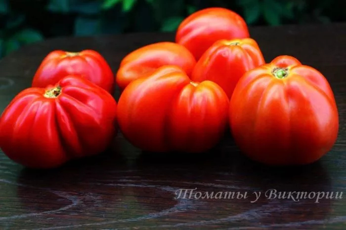 ozero-madzhore-4-148475