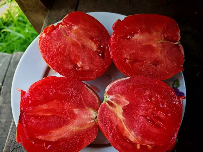 ozero-madzhore-5-148475