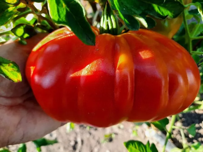 ozero-madzhore-main-148475