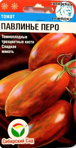 pavline-pero-3-160716