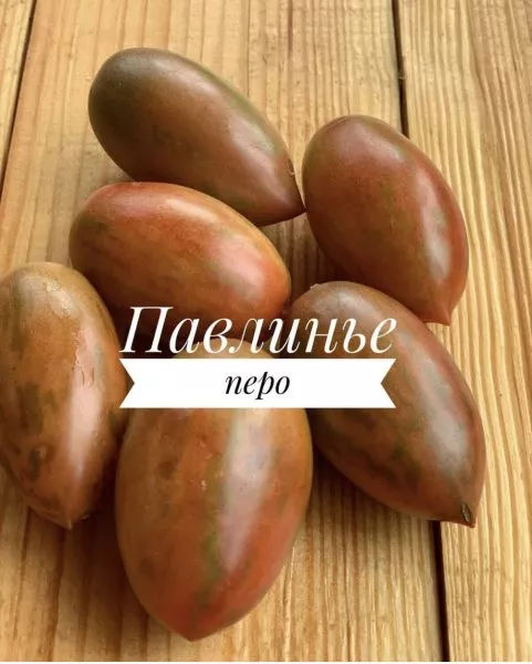 pavline-pero-6-160716