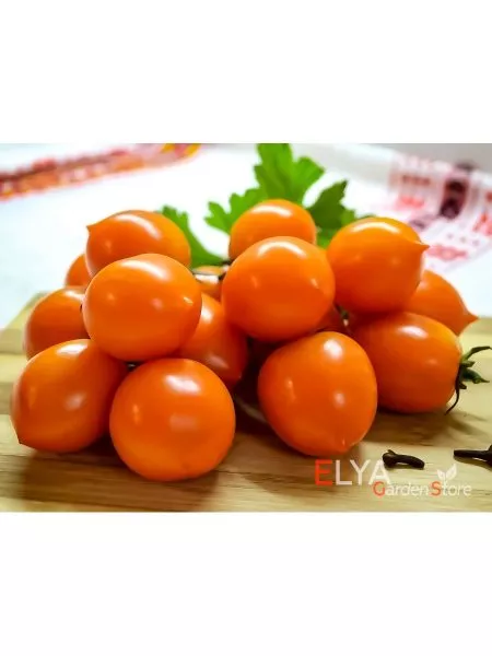 pendulina-oranzhevaya-9-150377