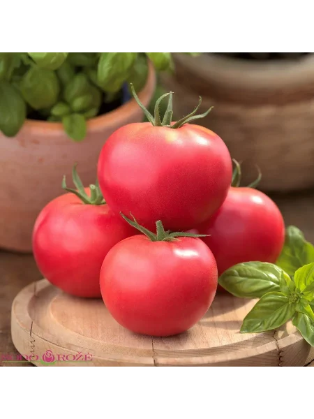 persianovskiy-2-139087-2