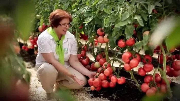 persianovskiy-2-139087