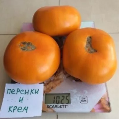 persiki-i-krem-1-139403-1