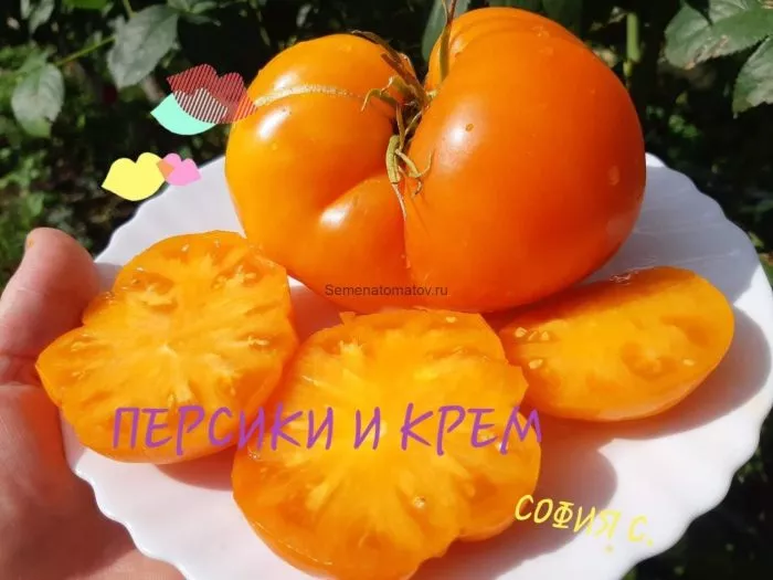 persiki-i-krem-1-139403