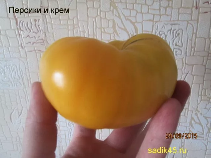 persiki-i-krem-4-139403