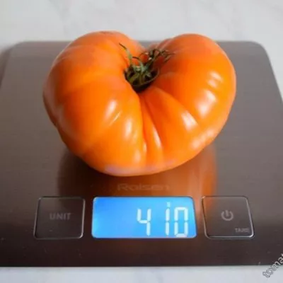 persiki-i-krem-8-139403