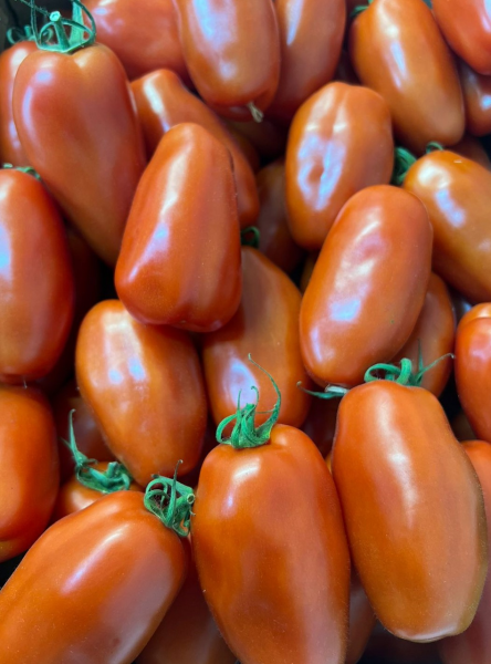 pertsevidnyy-krasnyy-7-155742