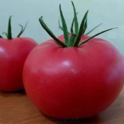 pink-agat-main-148794