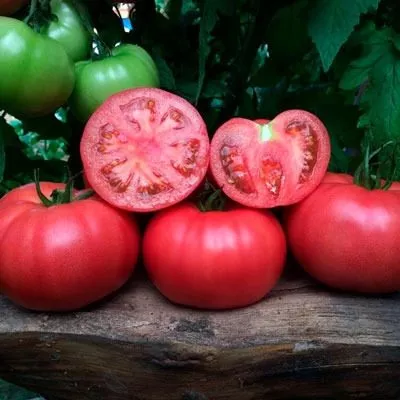 pink-margari-9-162831