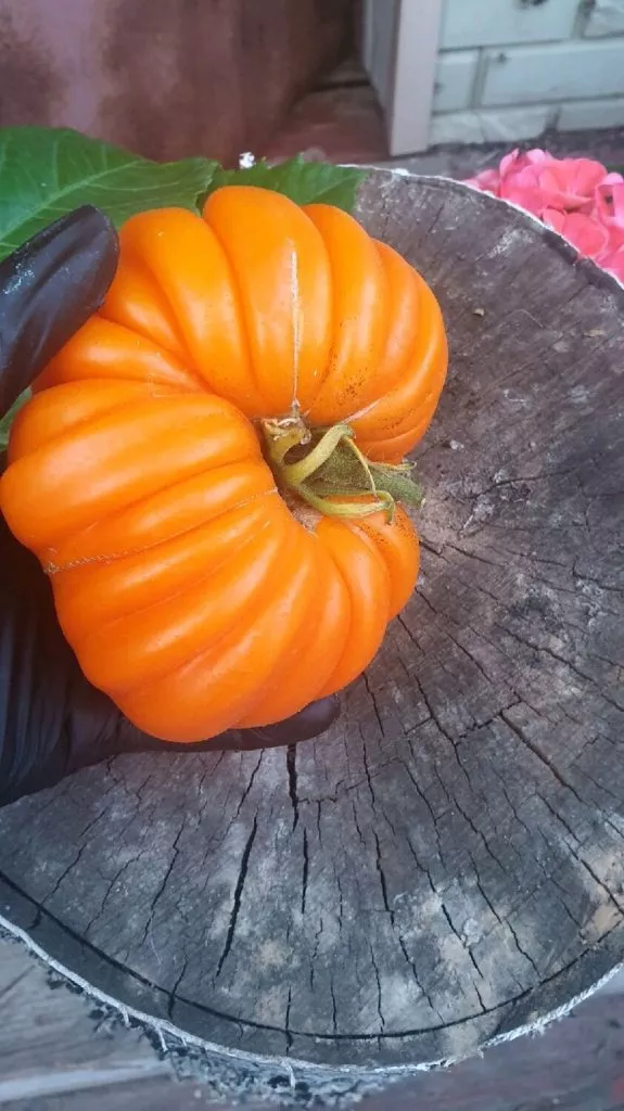 pitanga-zheltaya-1-133677