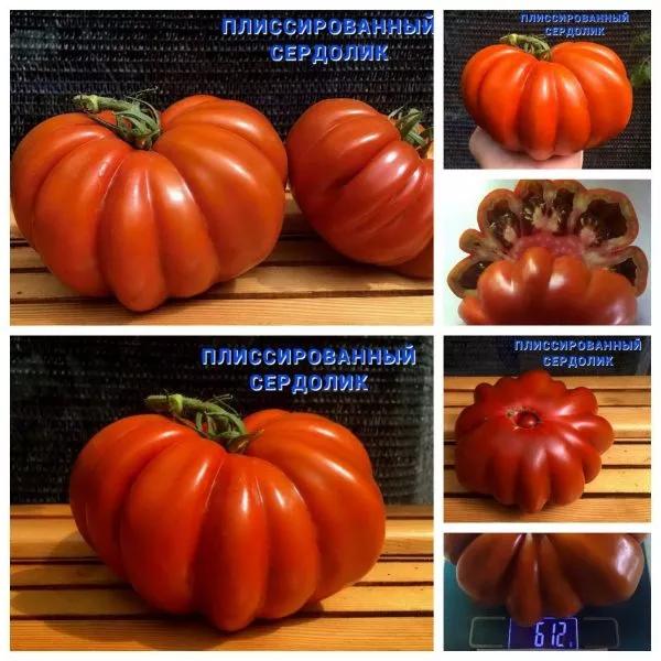 plissirovannyy-serdolik-6-138187