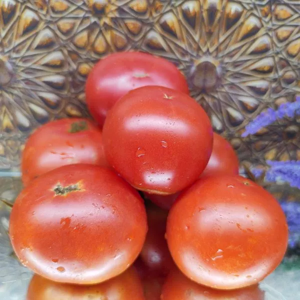 podsineevskiy-ranniy-1-135049