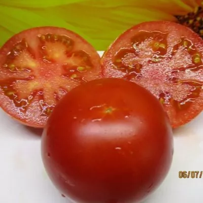 podsineevskiy-ranniy-6-135049