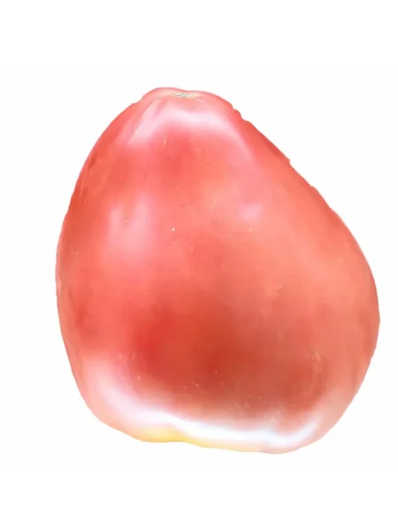 politsiya-40-3-158175