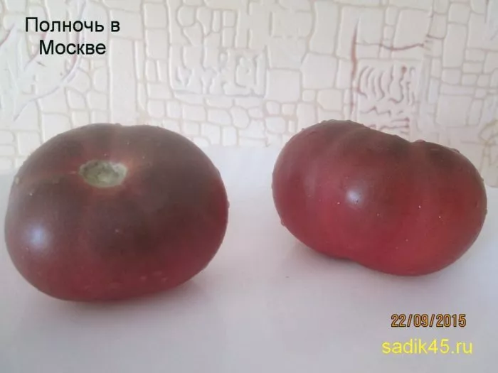 polnoch-v-moskve-5-139552