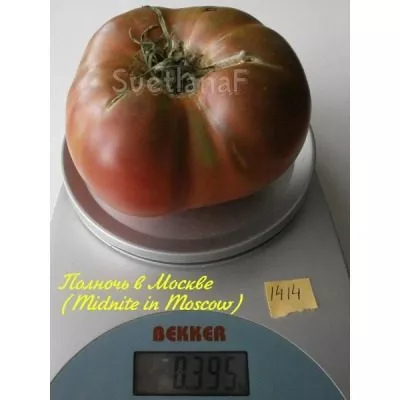 polnoch-v-moskve-6-139552