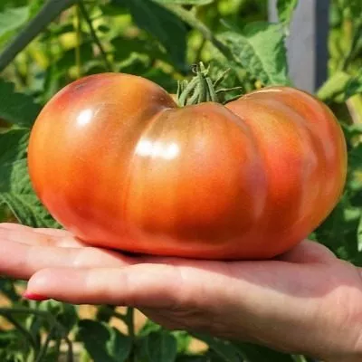 polnoch-v-moskve-main-139552