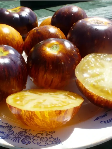 polosy-bylogo-10-148480