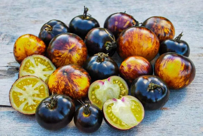 polosy-bylogo-3-148480