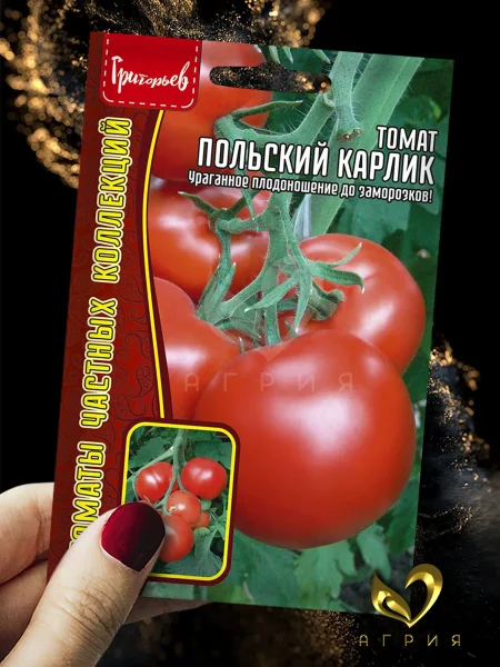 polskiy-karlik-1-150695