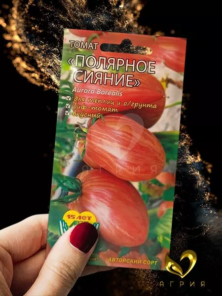 polyarnoe-siyanie-4-161964