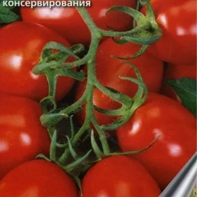 prazdnichnyy-3-138150