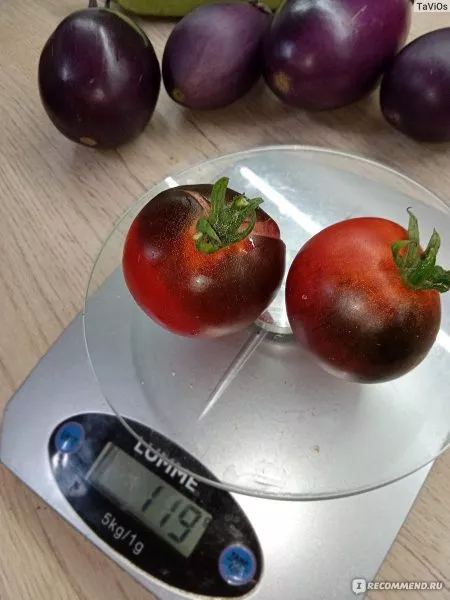 prekrasnyy-mechtatel-5-142821