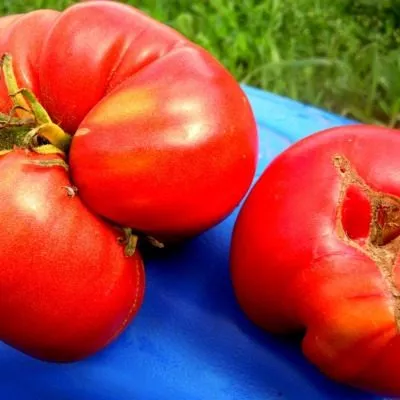 prezident-2-9-157971