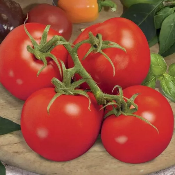 pripolyarnyy-2-141040