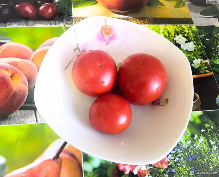 pripolyarnyy-6-141040