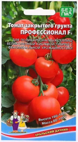 professional-1-156693