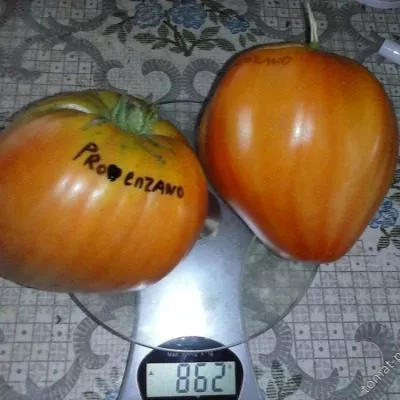 proventsano-5-132028