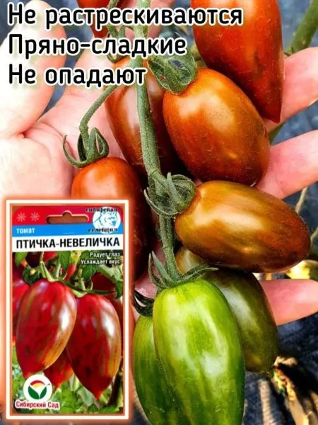 ptichka-nevelichka-2-150299