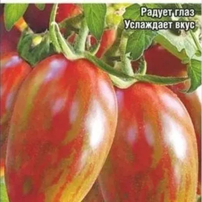 ptichka-nevelichka-4-150299