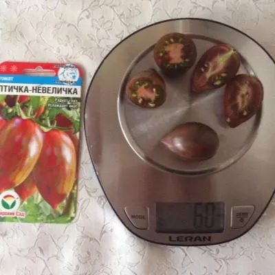 ptichka-nevelichka-8-150299