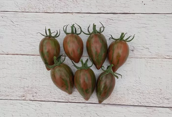 ptichka-nevelichka-main-150299