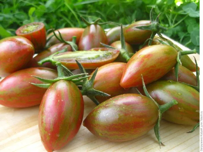 ranniy-bikolor-main-163609