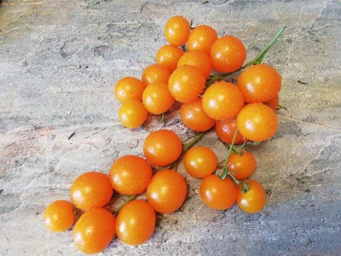 rapuntsel-kosy-zolotye-5-143203