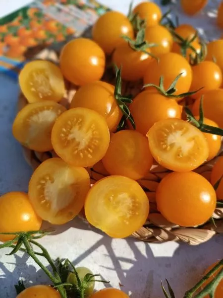 rapuntsel-kosy-zolotye-6-143203