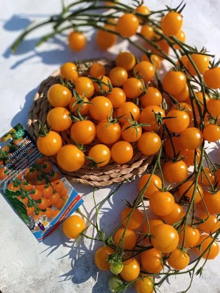 rapuntsel-kosy-zolotye-main-143203