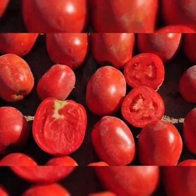 rekordsmen-main-150155