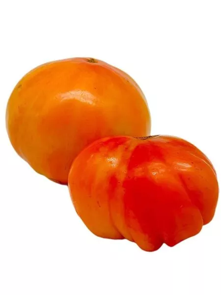 relikviya-rouds-2-142674